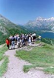 Facharzt für Homöopathie, Ärztegesellschaft für Homöopathie, Ärzteverein für Homöopathie, Apothekergesellschaft für Homöopathie, Silser Homöopathiewoche,Homöopathische Arzneimittel Herstellung
