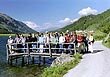 arnika in der Homöopathie, Kurse sahp, Homöopathie Weiterbildung für Apotheker und Ärzte,Homöopathische Ärzte, Fachapotheker FPH Klassische Homöopathie, Fähigkeitsausweis Homöopathie